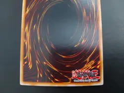 Yugioh - Dark Magician Knight ROD-EN001 Prismatic Secret Rare - Image 5