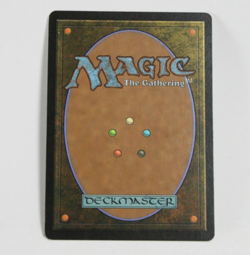 Elvish Champion x1 - 8th Edition - Magic The Gathering MTG - Image 2