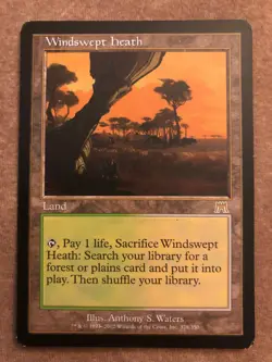 Windswept Heath (1) Onslaught MTG Excellent/Near Mint -4RCards - Image 1