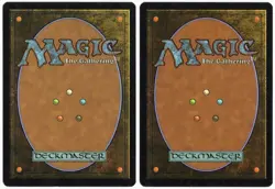 Militia's Pride x2 2x 2007 Lorwyn White Rare Tribal Enchantment MTG SP - NM AZ1 - Image 2