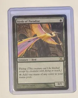 Birds of Paradise Core Set 10th edition LP x1 - Image 1