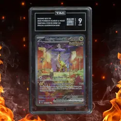 Pokemon Temporal Forces RAGING BOLT EX 208/162 Special Illustration Rare TAG 9 - Image 1
