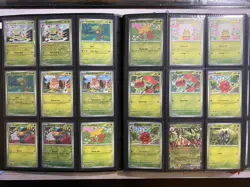 Pokemon Stellar Crown Complete Base Set All Common, Holo, Reverse & EX cards - Image 4