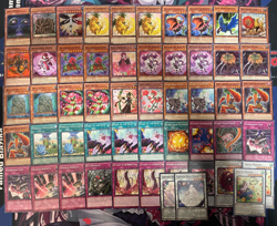 YUGIOH - BLACK ROSE DRAGON PLANT DECK - GARDEN MAIDEN, ROSARIA, DARK FAIRY ~ - Image 1