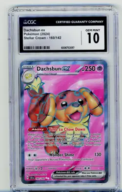 CGC 10 Dachsbun EX 160/142 Stellar Crown Full Art Secret Rare Pokemon Card - Image 1
