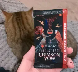 MTG: Innistrad Crimson Vow - Collector Booster Pack - Factory Sealed 2021 Pack!! - Image 1