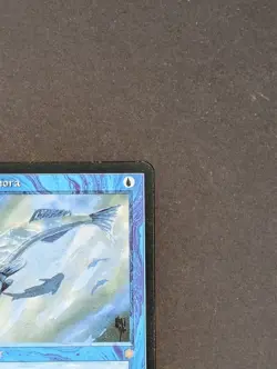 MTG Card - 1x Mystic Remora - Ice Age - NM/LP - Vintage - Magic the Gathering - Image 4