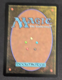 Soul Immolation Showcase (M0321) Lorwyn Eclipsed Regular MTG - Image 2