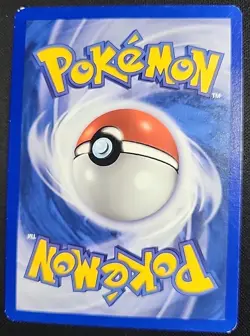 Pokemon Bayleef 28/111 | 1st Edition Neo Genesis (LP) - Image 2
