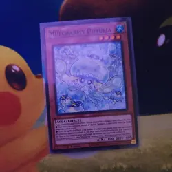 Yugioh! Mulcharmy Purulia L5DD-ENY18 Common 1st Edition Near Mint - Image 1