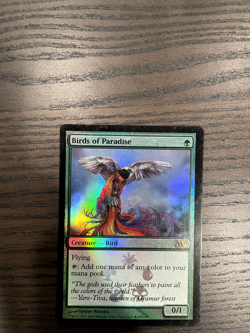 Birds of Paradise (Foil Buy-a-Box Promo) NM - Image 1