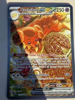 Dachsbun ex 169/142 Holo Special Illustration Rare Stellar Crown Pokemon Card - Image 3