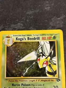 Kogas Beedrill 9/132 Holo Pokemon Card -Gym Challenge-Good Condition - Image 3