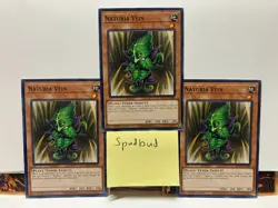 x3 Naturia Vein Common x3 HAC1-EN096 (Light Play 1st Ed) - Image 1