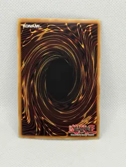 Yugioh! Dark Paladin - LCYW-EN048 - Secret Rare - 1st Edition - NM - Image 2