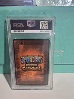 Luffys Fury Sr One Piece Passage to the Grand Line - Image 2