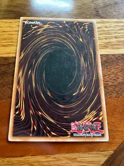 Blackwing - Backlash DP11-EN025 1st Edition Common PL + BONUS - Image 2