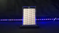 Ultra Rare Rebecca One Piece Trading Card Holo Custom Doujin Dojo - Image 3