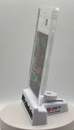 2024 One Piece Chinese Flagship Btl Promo OP01-025 Roronoa Zoro PCG 10 PRISTINE+ - Image 2