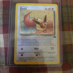 Pokemon Eevee Holo Black Star Promo Card 11 - Image 1
