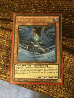 Blackwing - Gale The Whirlwind PGL2-EN073 Gold Rare 1st Edition YuGiOh Card - Image 1