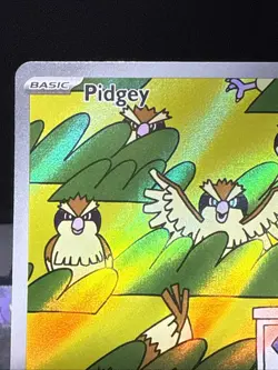 Pokemon Card Pidgey 207/197 Obsidian Flames Holo Illustration Rare Near Mint - Image 3