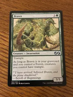 Brawn U Ultimate Masters 160 LP. M1 - Image 1