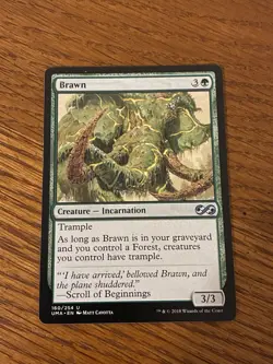 Brawn U Ultimate Masters 160 LP. M1 - Image 2