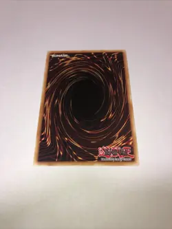 Yugioh Doom Virus Dragon DLCS-EN055 1st Edition - Image 2