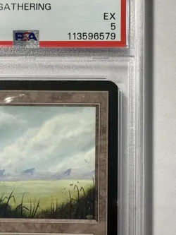 Plains (A) Alpha Edition Regular PSA EX 5 - Image 3