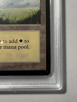 Plains (A) Alpha Edition Regular PSA EX 5 - Image 4