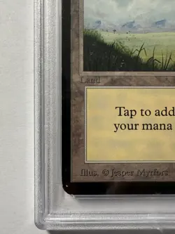 Plains (A) Alpha Edition Regular PSA EX 5 - Image 5