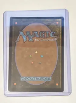 SPM-EN Multiversal Passage Foil Land x1 Magic MTG Card 206 - Image 2