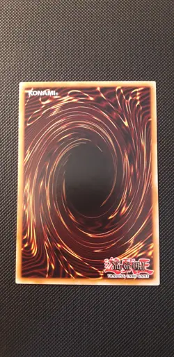 Yu-Gi-Oh! Uraby, LOB-069, Common, 2. Edition, Englisch, Near Mint - Mint - Image 4