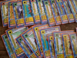 Vintage Digimon Digi Battle CCG TCG Card Lot - Image 4