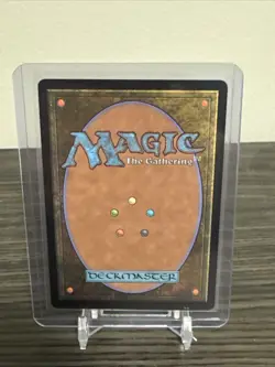 Yavimaya Coast NM Borderless Dominaria United - Image 2