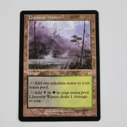 MTG Llanowar Wastes Apocalypse LP Rare 141/143 Magic The Gathering Land Card - Image 1