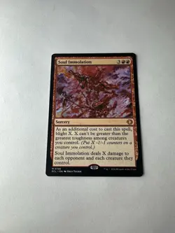 Soul Immolation NM Lorwyn Eclipsed Magic The Gathering Mtg Near Mint Sorcery - Image 1