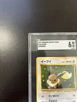 1997 Pokemon - Rocket Gang Japanese (Team Rocket) Eevee #133 SGC 6 - U.S Seller - Image 2