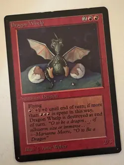 Magic the Gathering MTG Beta Dragon Whelp LP+ (Beta Bob) - Image 1