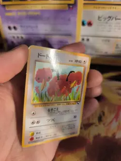 Pokemon Karte Card Vending expansion sheet glossy Wotc japanese Doduo Dodu NM - Image 3