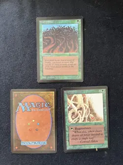 Magic the Gathering Wall of Ice, Brambles, and Wood Beta NM - Image 1
