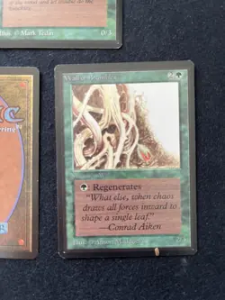Magic the Gathering Wall of Ice, Brambles, and Wood Beta NM - Image 4