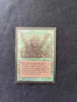 Magic the Gathering Living Lands Beta LP - Image 1
