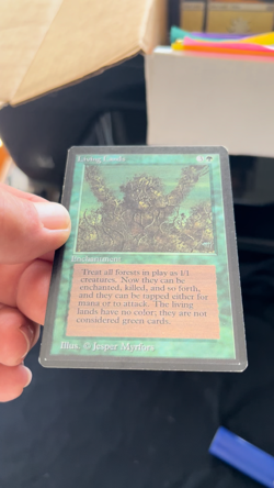 Magic the Gathering Living Lands Beta LP - Image 2