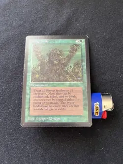 Magic the Gathering Living Lands Beta LP - Image 4