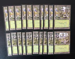 MTG 20X JAPANESE MIRAGE FOREST NM MAGIC THE GATHERING BASIC LAND COMMON - Image 1