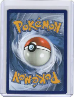 Groudon 17/25 Celebrations Holo Rare Pokemon TCG - 743 - Image 2