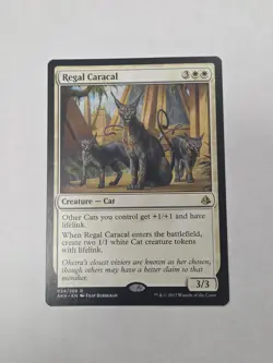 Magig The Gathering Regal Caracal 024/269 Amonkhet 2017 MTG - Image 1