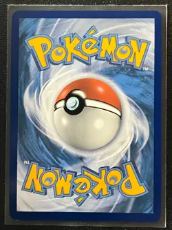 Quaquaval ex SVP 035 Black Star Promo - Paldea Partners Tin Pokemon Near Mint NM - Image 2